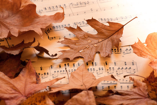 Autumn music